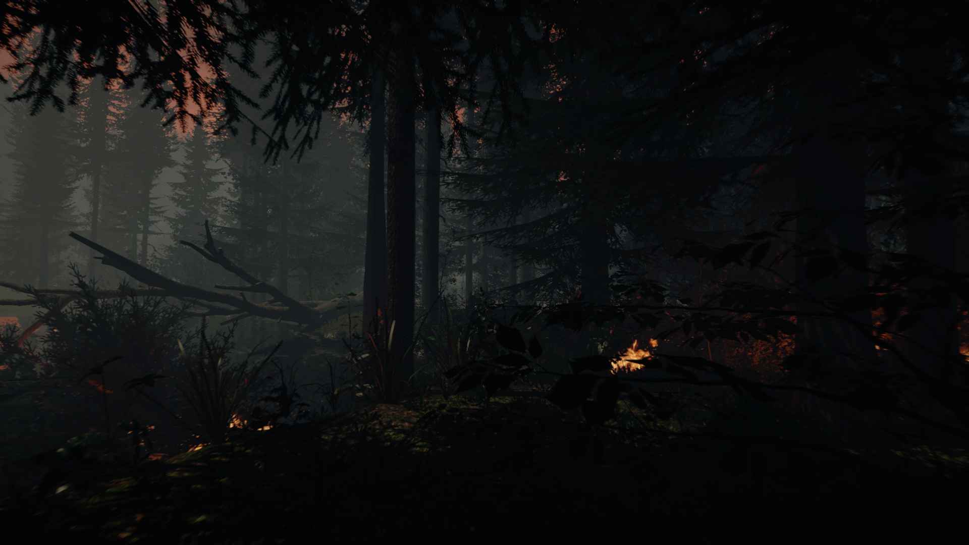 The Forest hosting